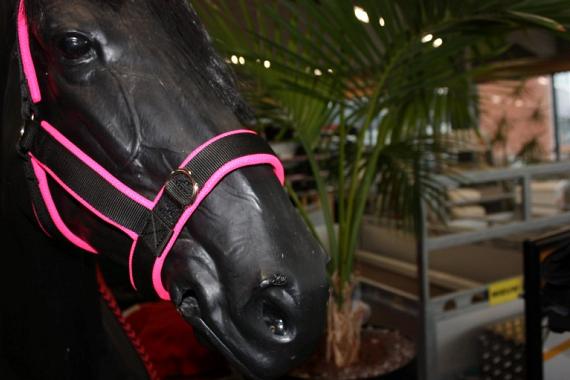 Manmat halster maat Fluor roze