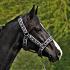Manmat halster maat S (3070031)