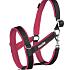 Manmat Halster maat XL (3070031)