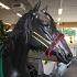 ManMat stalhalster Belgie maat XS-XXXL