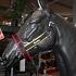ManMat stalhalster Belgie maat XS-XXXL