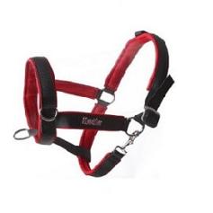 2978 2099 halsters voor paarden